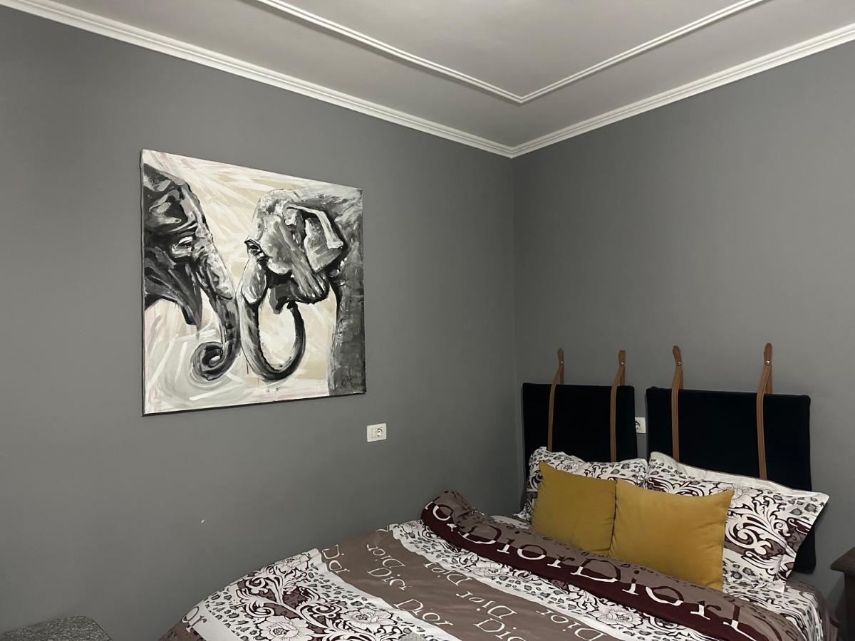 Koa Studio 1 科尔察 外观 照片